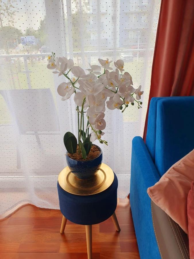 Apartament Comfort Kołobrzeg Exterior foto